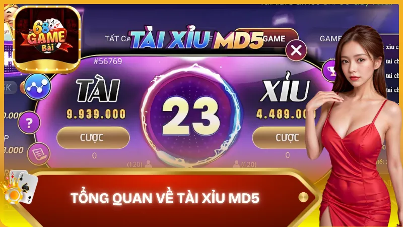 Tổng quan về game Tài Xỉu Md5 68 Game Bài
